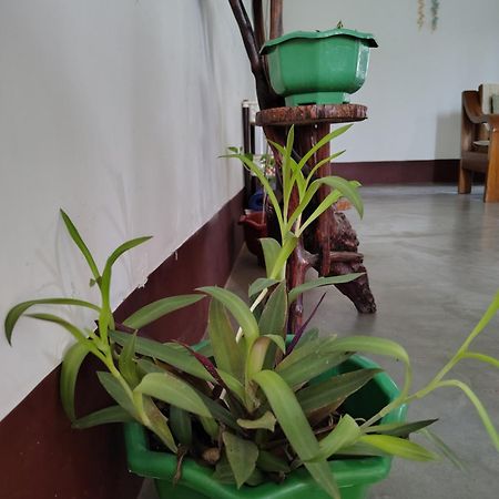 Gayatri Homestay Дибругарх Экстерьер фото